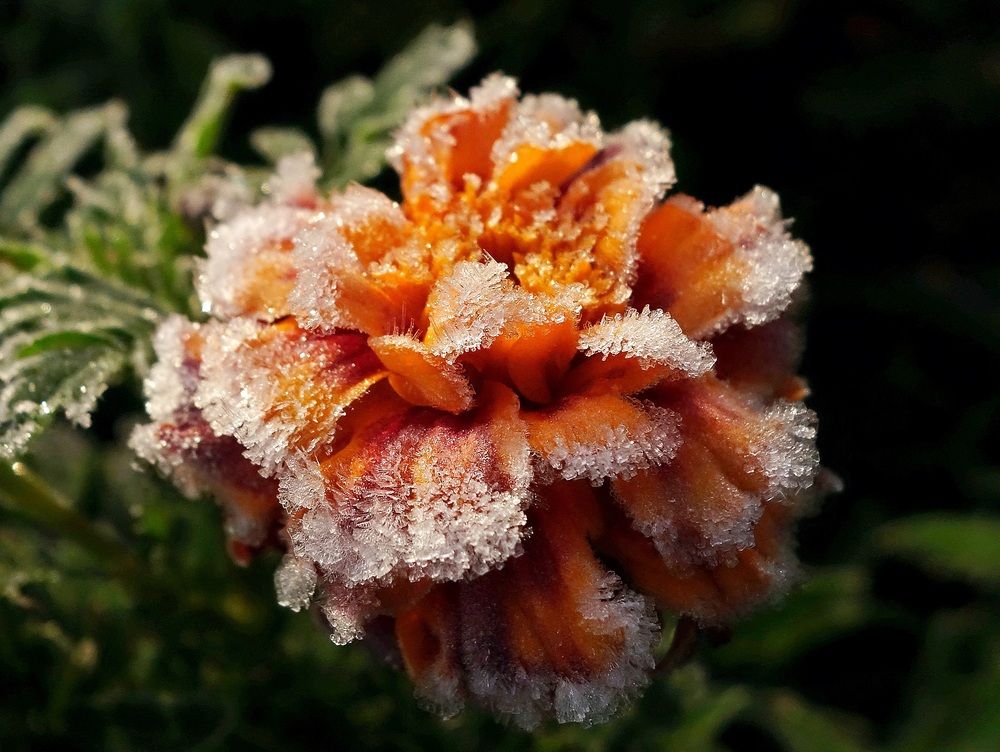 Photograph by Виктор Решетников