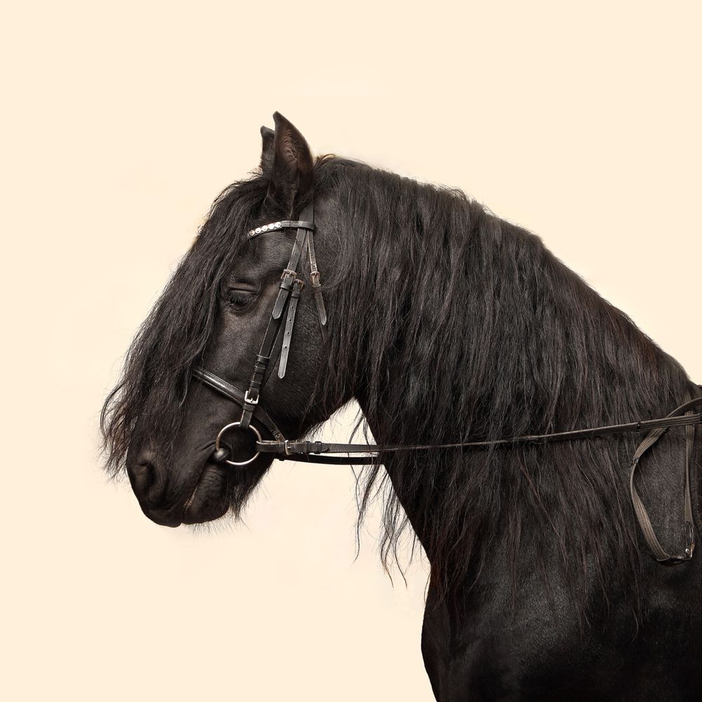 Photograph by Arnis Krūmiņš