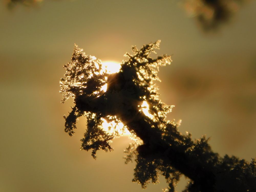 Photograph by Сергей Чеченов