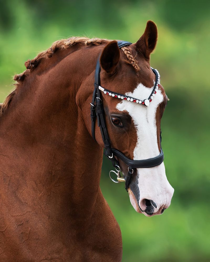 Фотография автора Helena