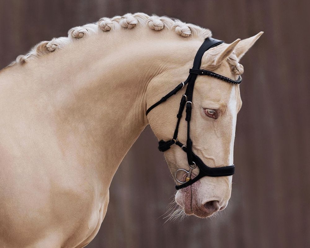 Photograph by Helena