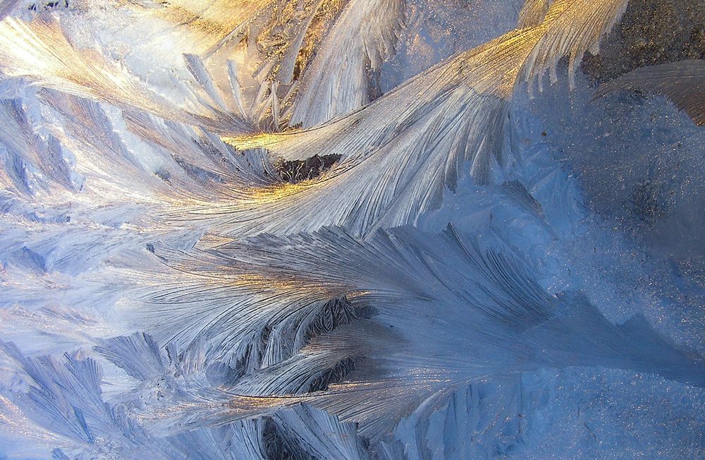 Photograph by Владимир Синцов