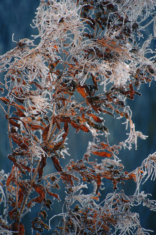 Photograph by Валерия Азамат