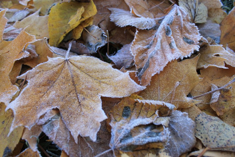 Photograph by Антон Иванов