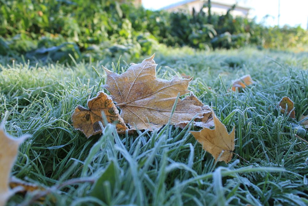 Photograph by Антон Иванов