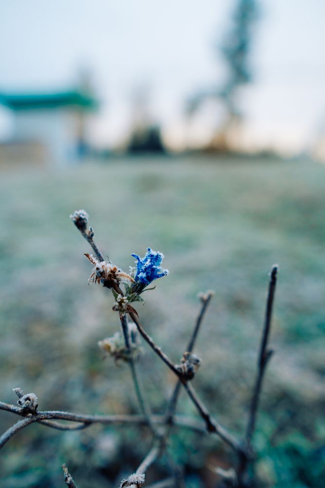 Photograph by Иван Кривоносов