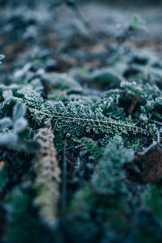 Photograph by Иван Кривоносов