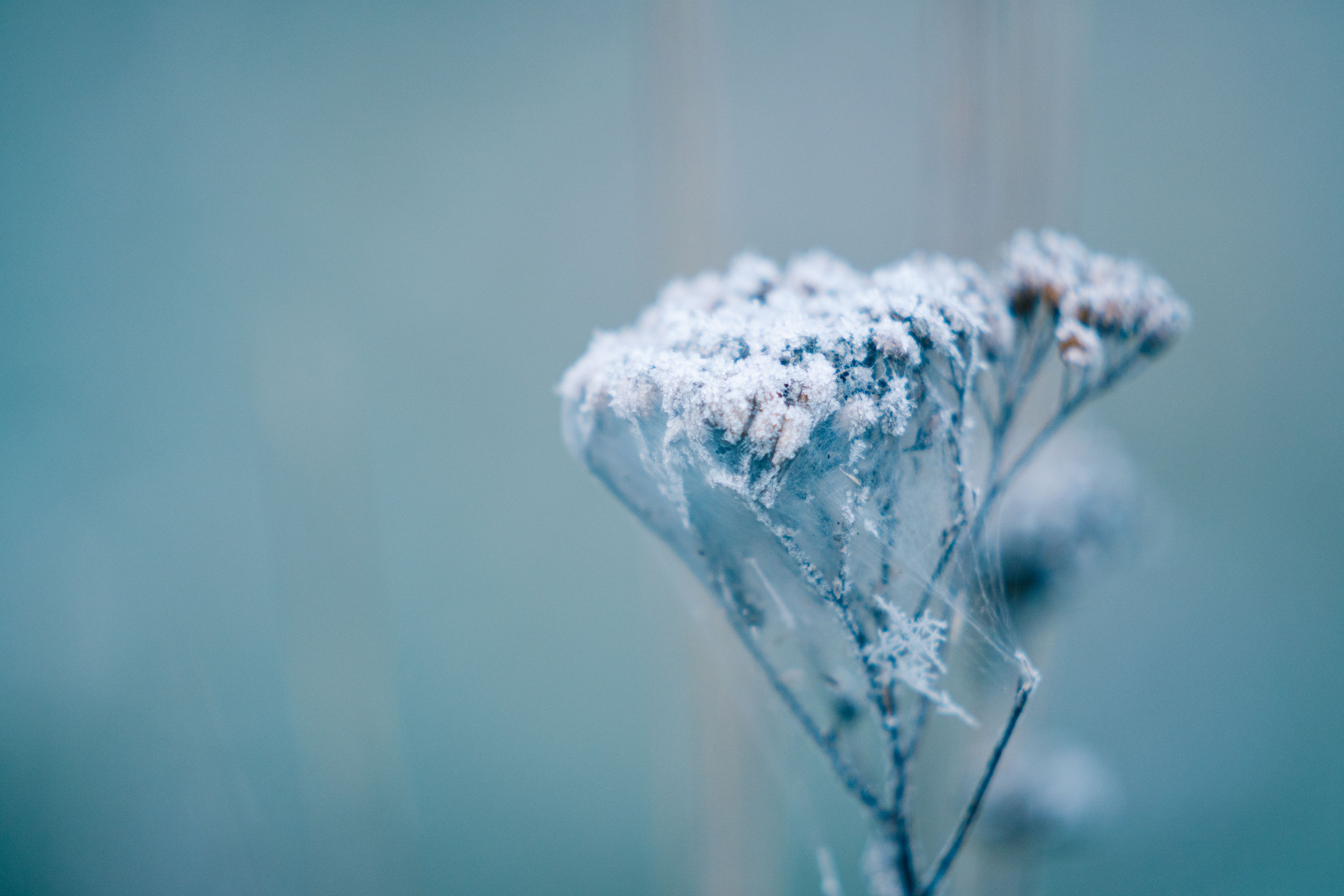 Photograph by Иван Кривоносов