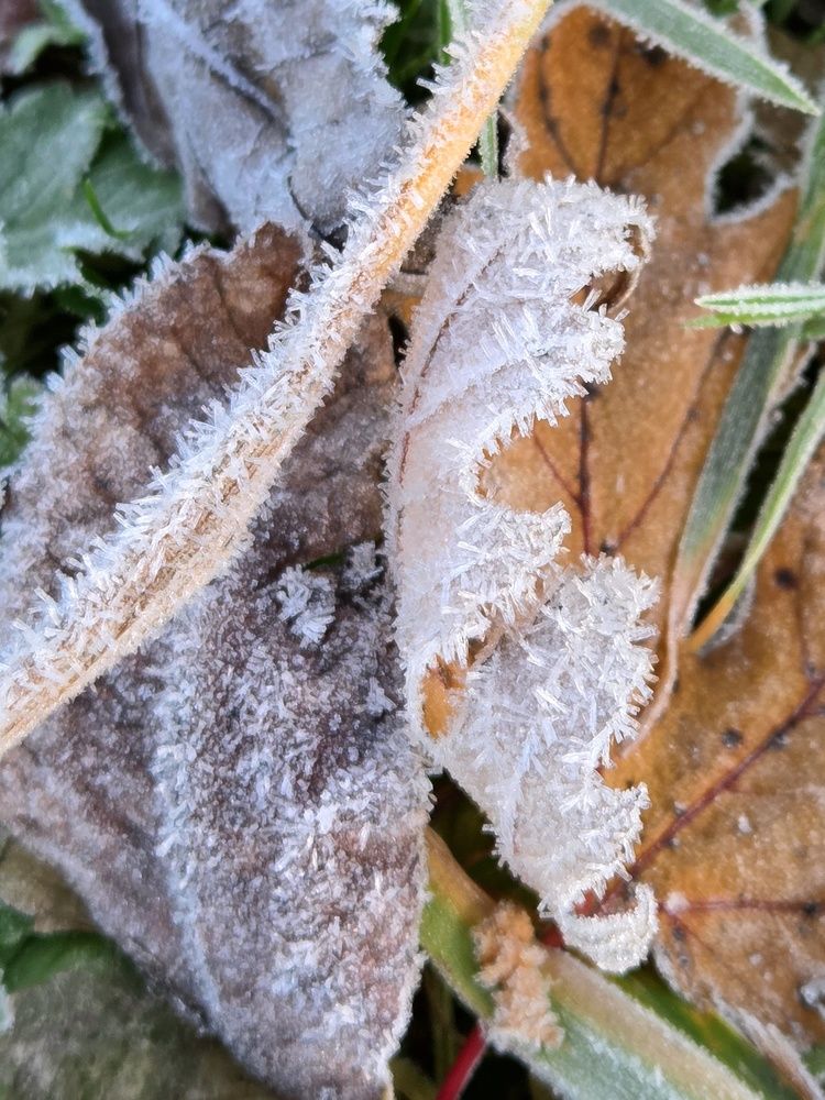 Фотография автора Elena Polonetskaya