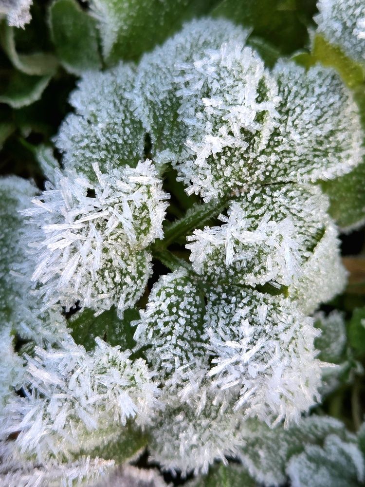 Фотография автора Elena Polonetskaya