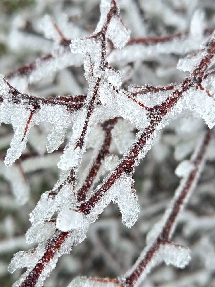 Фотография автора Elena Polonetskaya