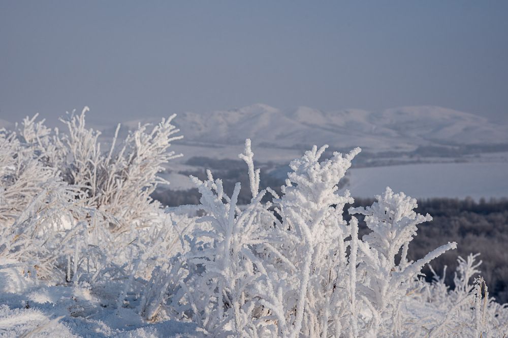 Photograph by Ирина Яук