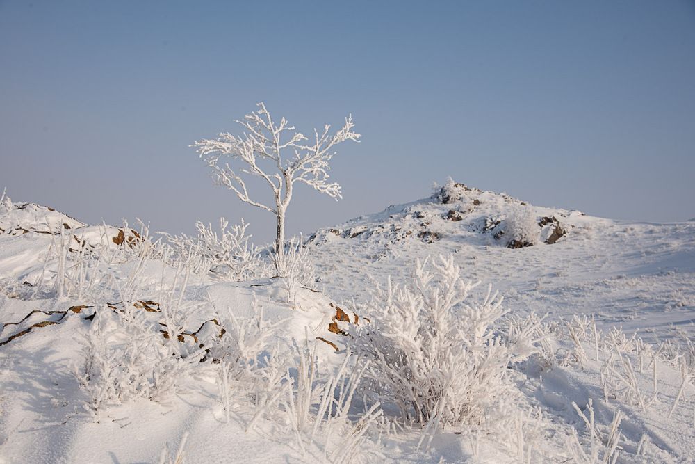 Photograph by Ирина Яук