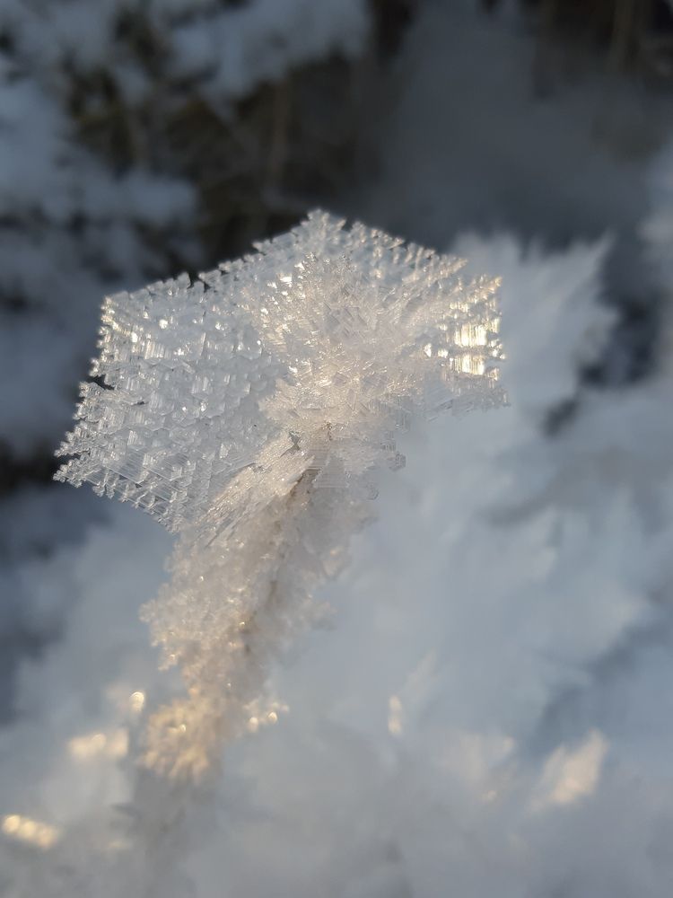 Photograph by Tatiana