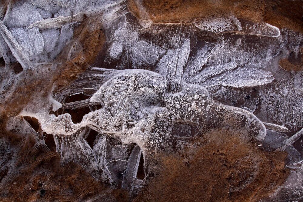 Photograph by Arnis Krūmiņš