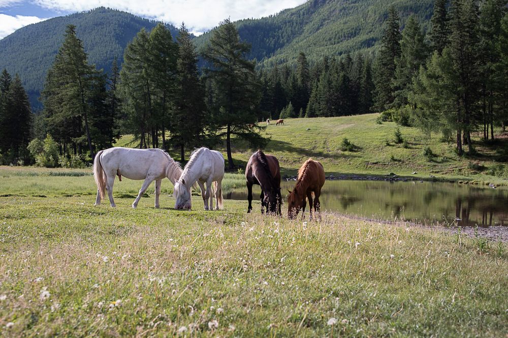 Фотография автора Ирина Яук