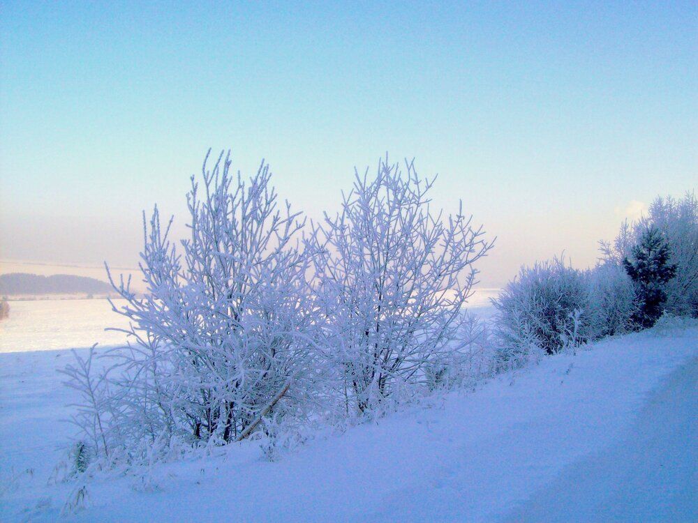 Photograph by Мигун Александра