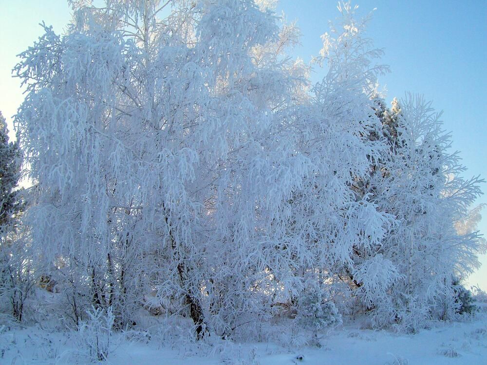 Photograph by Мигун Александра
