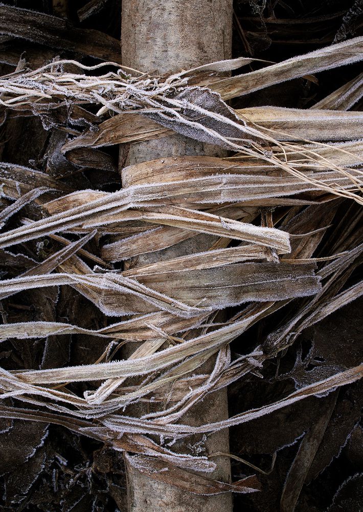 Photograph by Arnis Krūmiņš