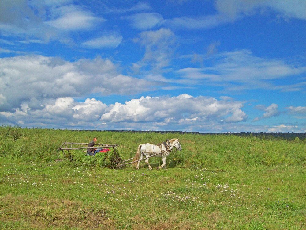 Photograph by Мигун Александра