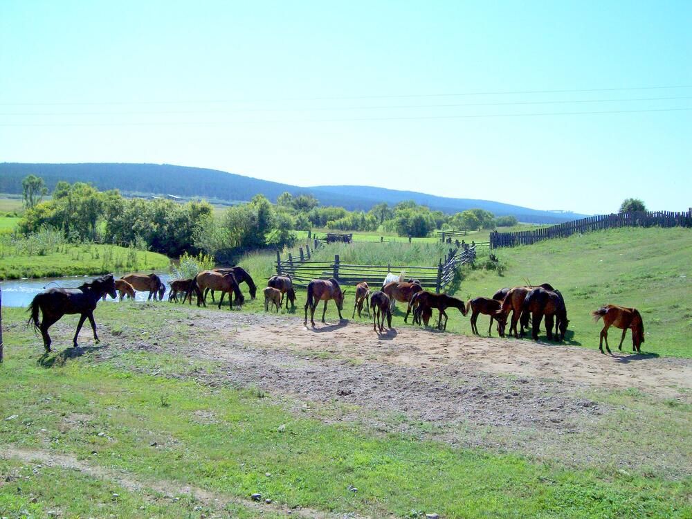 Photograph by Мигун Александра