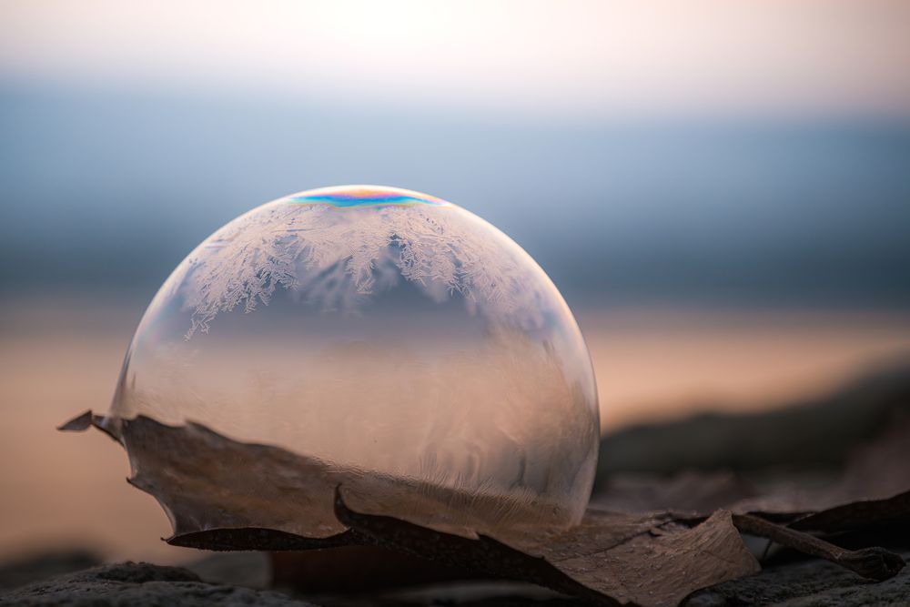 Photograph by Veronika Biró