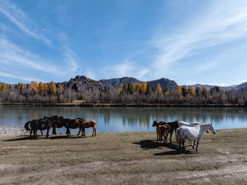 Photograph by Татьяна