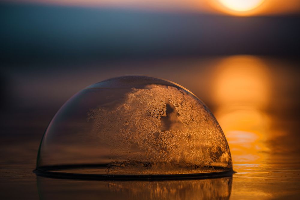 Photograph by Veronika Biró