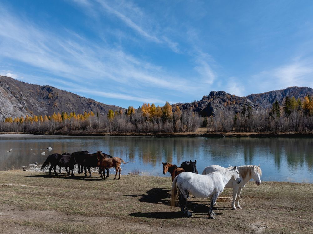 Photograph by Татьяна