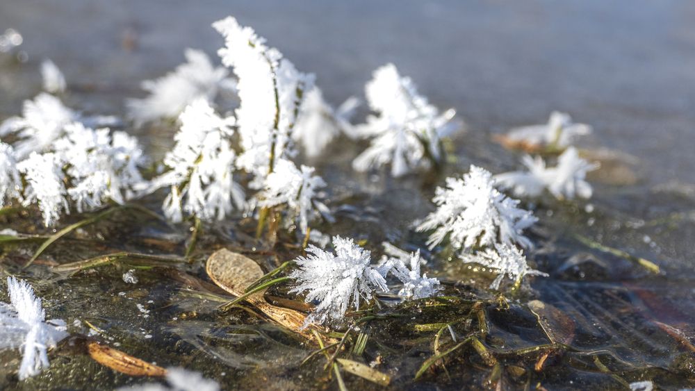 Photograph by Надежда Михайлина