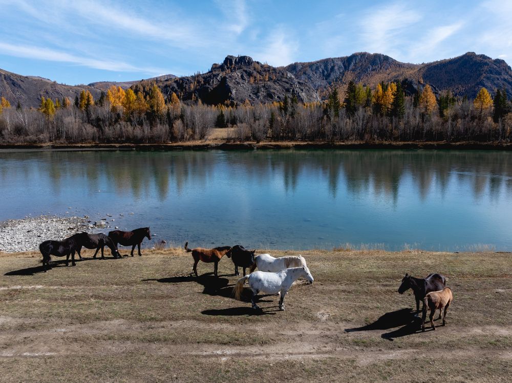 Photograph by Татьяна