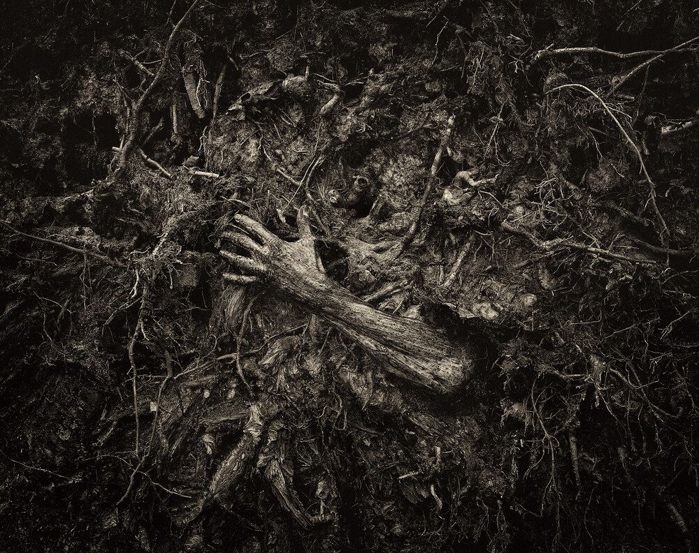 Photograph by Arnis Krūmiņš