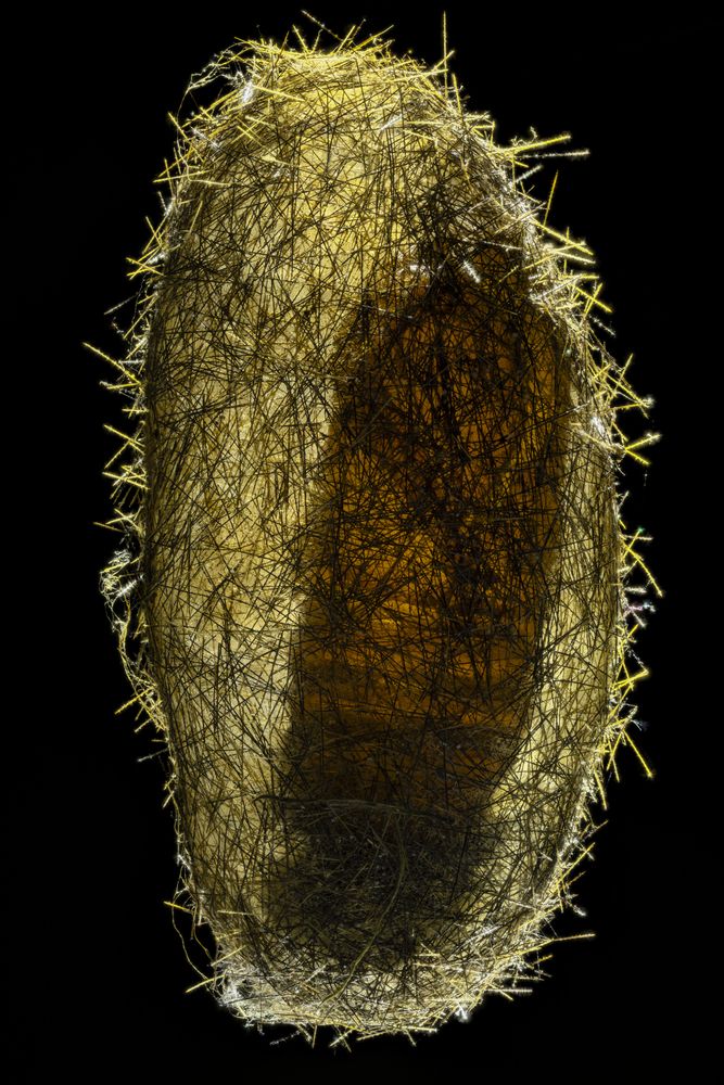 Photograph by Samuel Doty