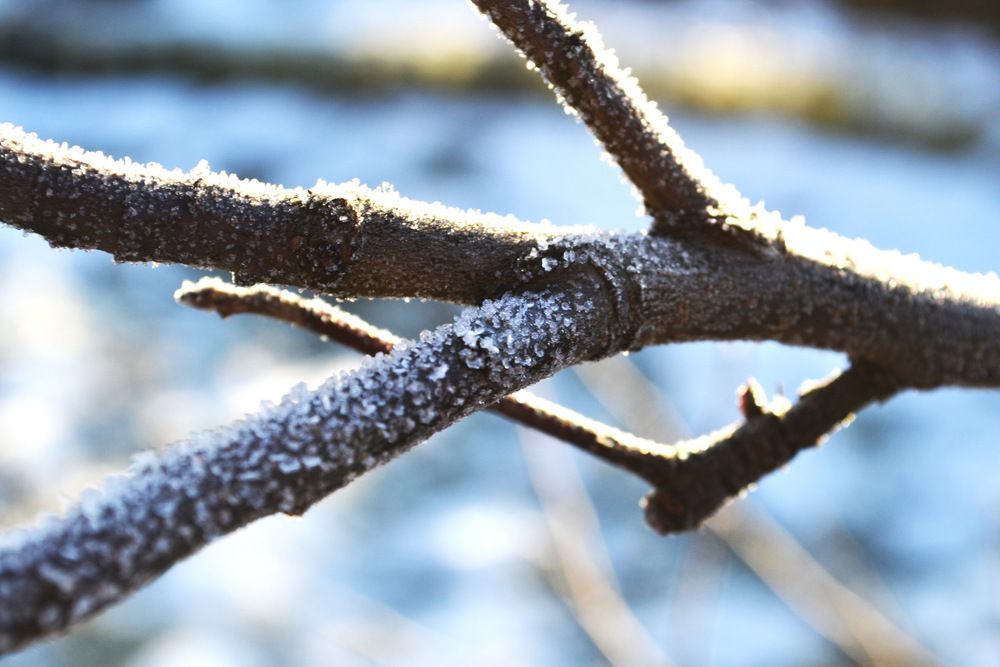 Photograph by Елизавета Большакова