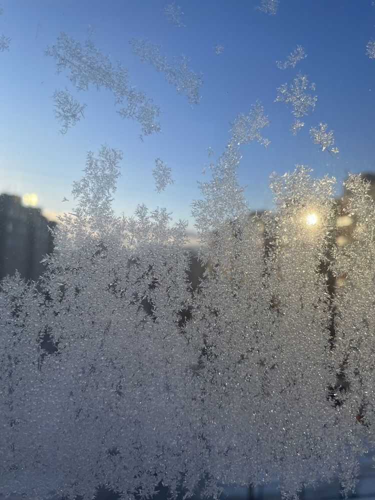 Photograph by Елизавета Большакова