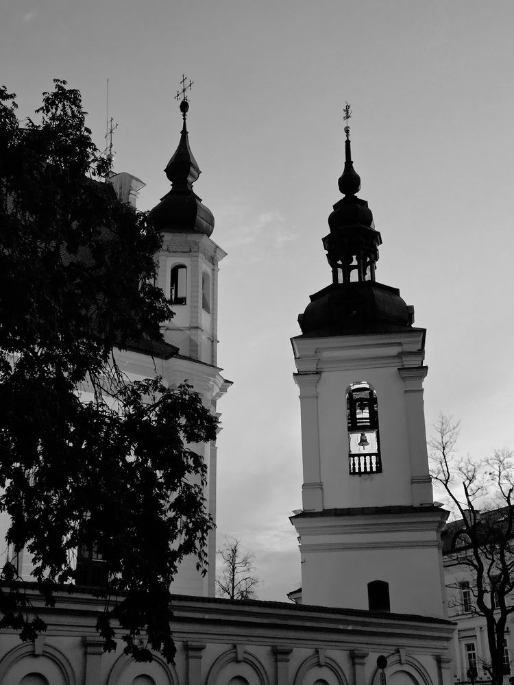 Фотография автора Elena Polonetskaya