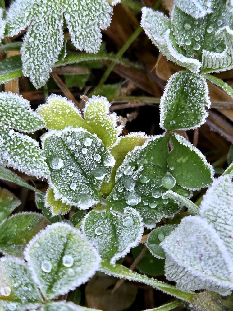 Фотография автора Elena Polonetskaya