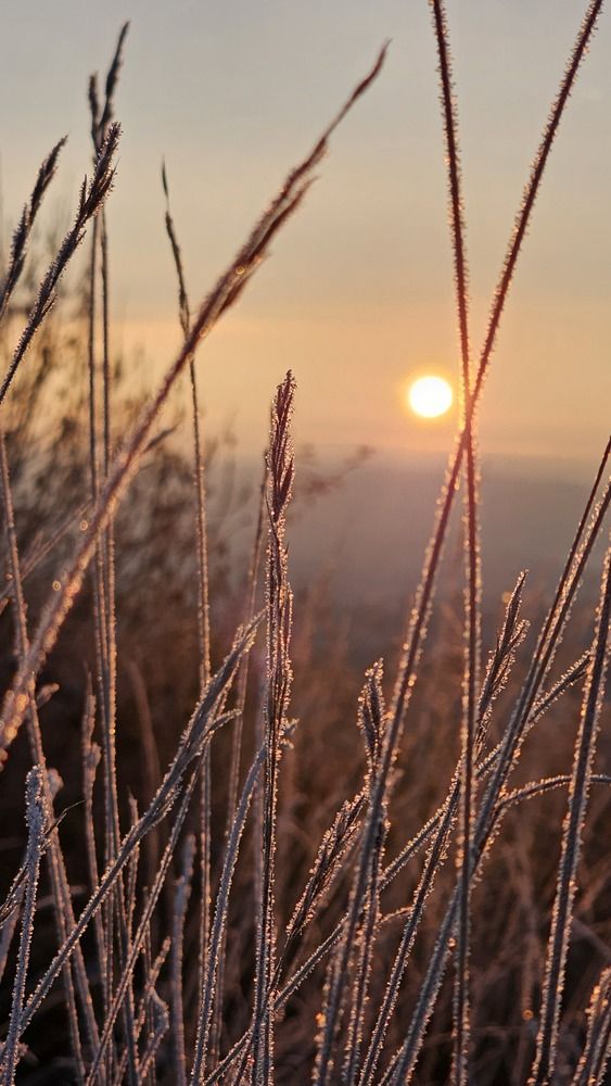 Photograph by Olga Siebert