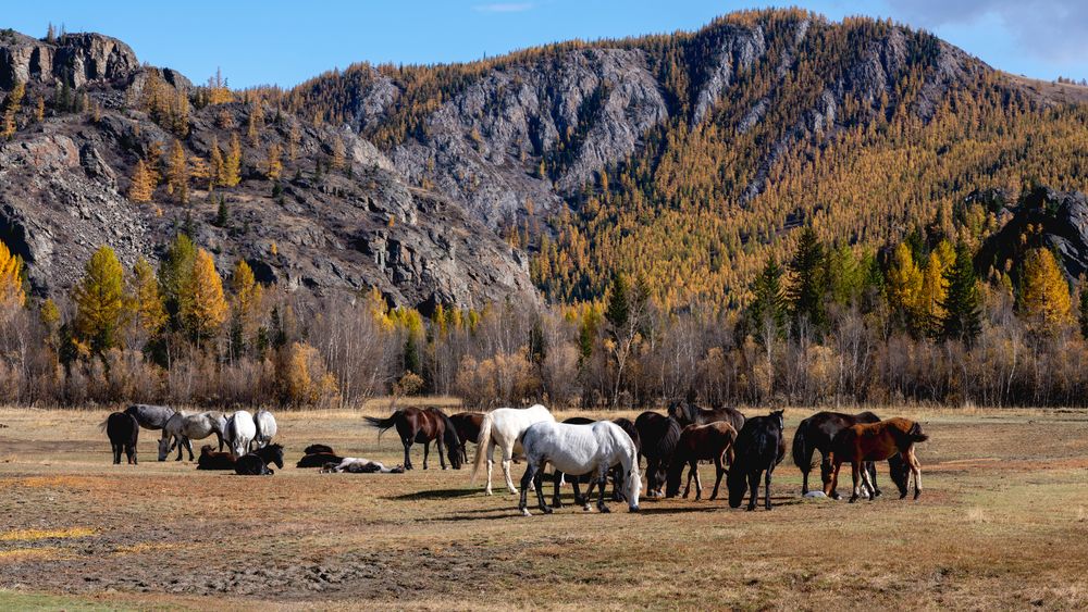 Photograph by Татьяна