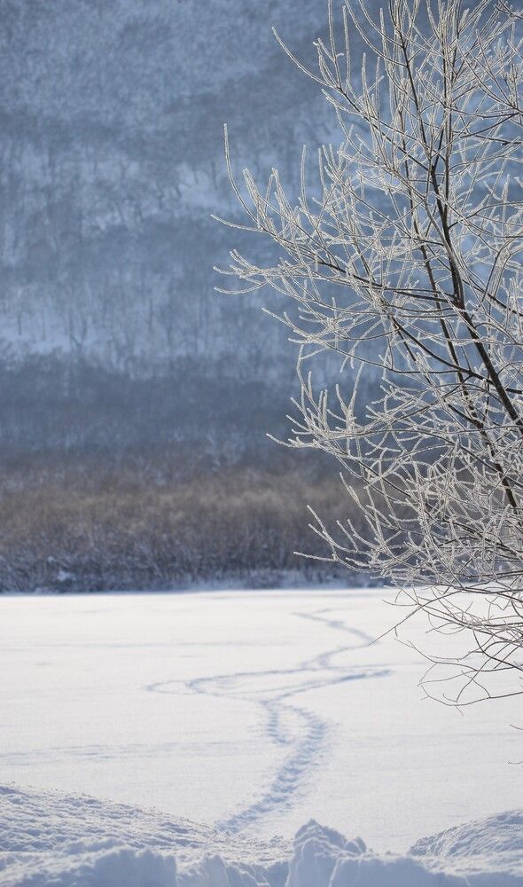 Photograph by Ения Семина