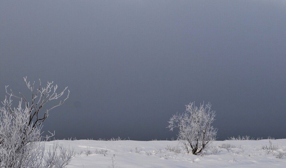 Photograph by Ения Семина