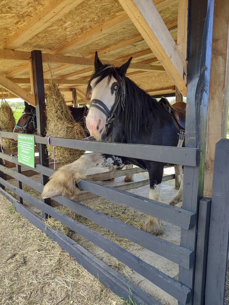Фотография автора Татьяна Петренко
