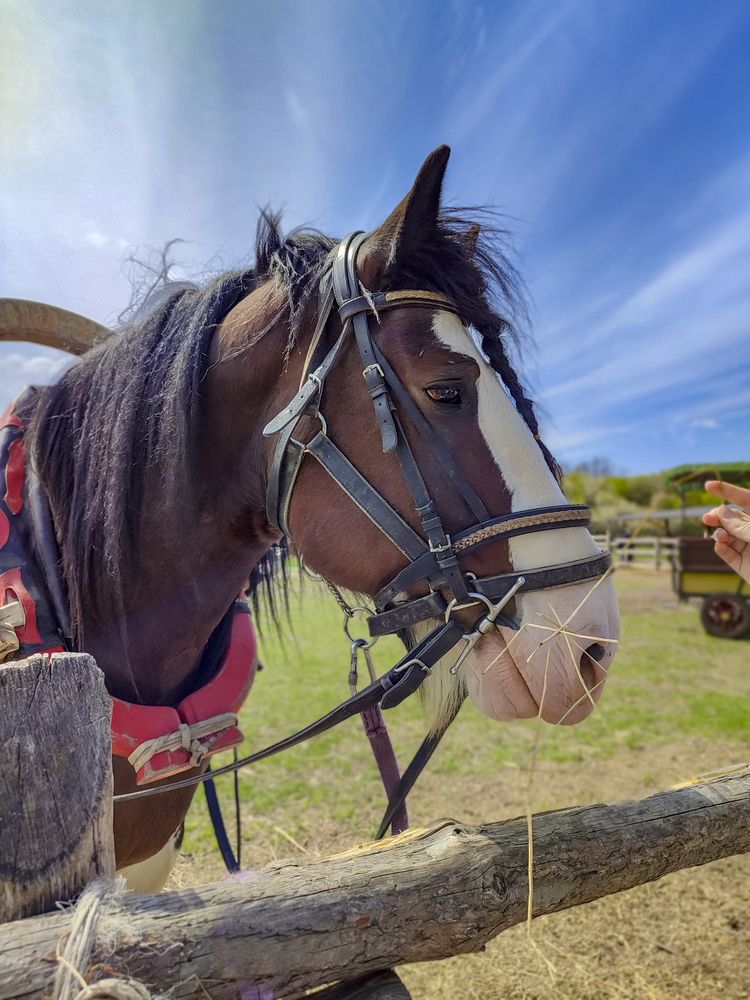 Фотография автора Татьяна Петренко