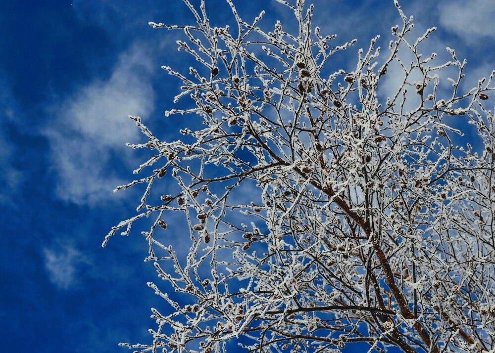 Photograph by Ения Семина