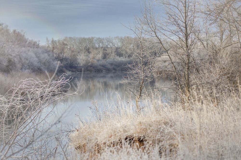 Photograph by Ольга Акутина