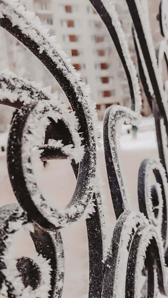 Photograph by Людмила Сергеева