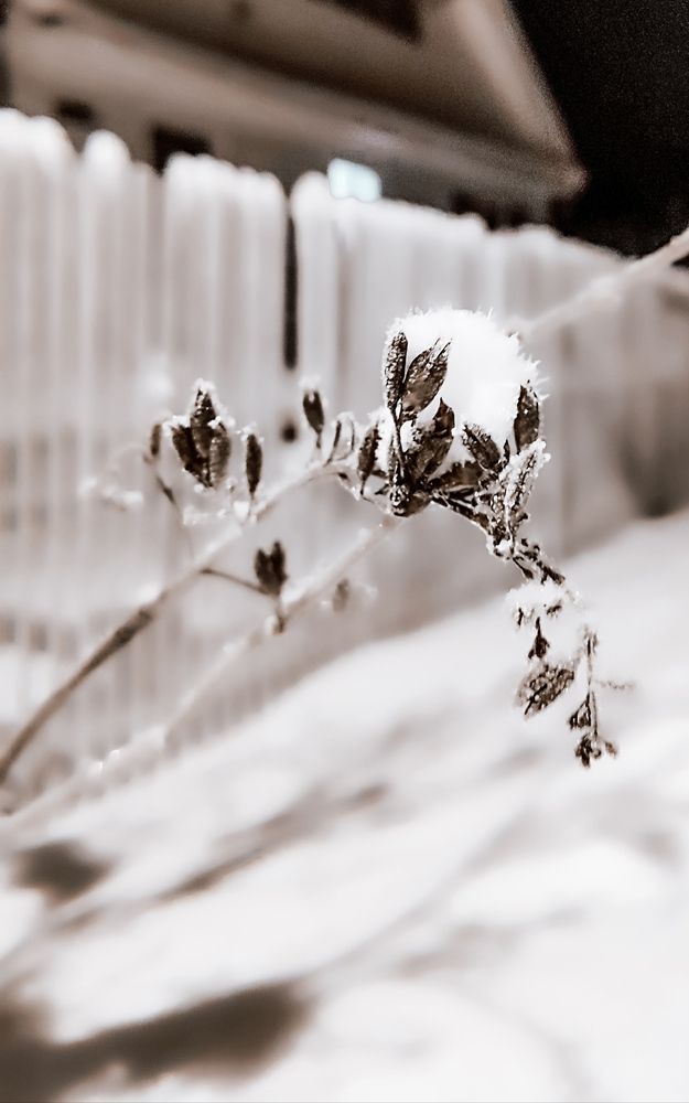 Photograph by Людмила Сергеева