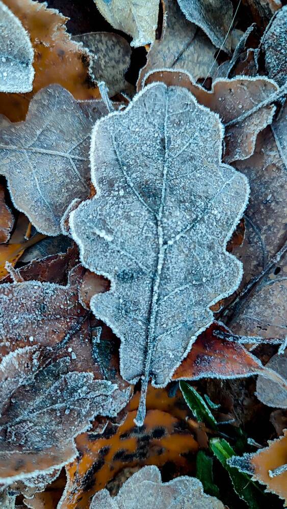 Photograph by Людмила Сергеева