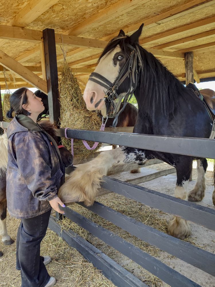 Photograph by Татьяна Петренко