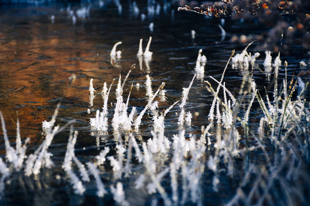 Photograph by Pablo Roca